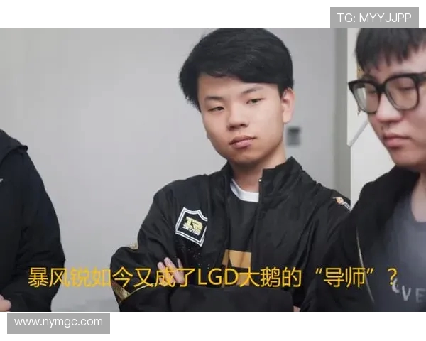 RNG战队反击策略深度分析与实战应用探讨