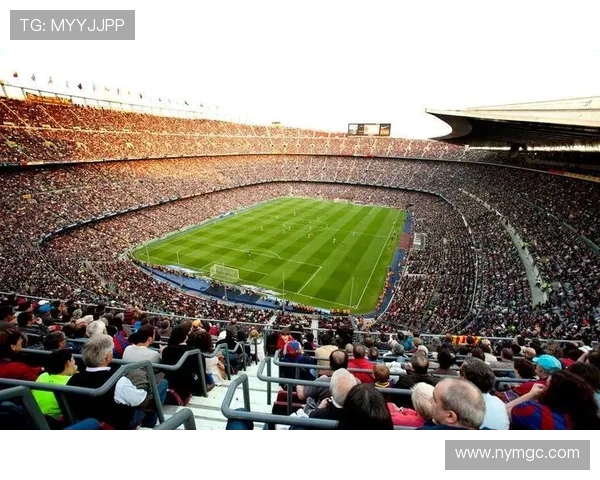 成都排球队进攻革新之路探索团队协作与战术创新的完美结合