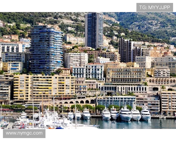 年青人如何在摩纳哥的奢华与梦想中找到自我价值与未来方向